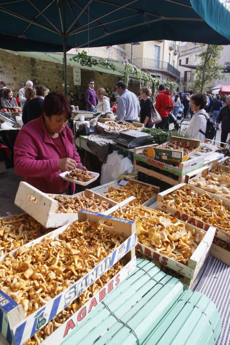 Fira del bolet de Llagostera