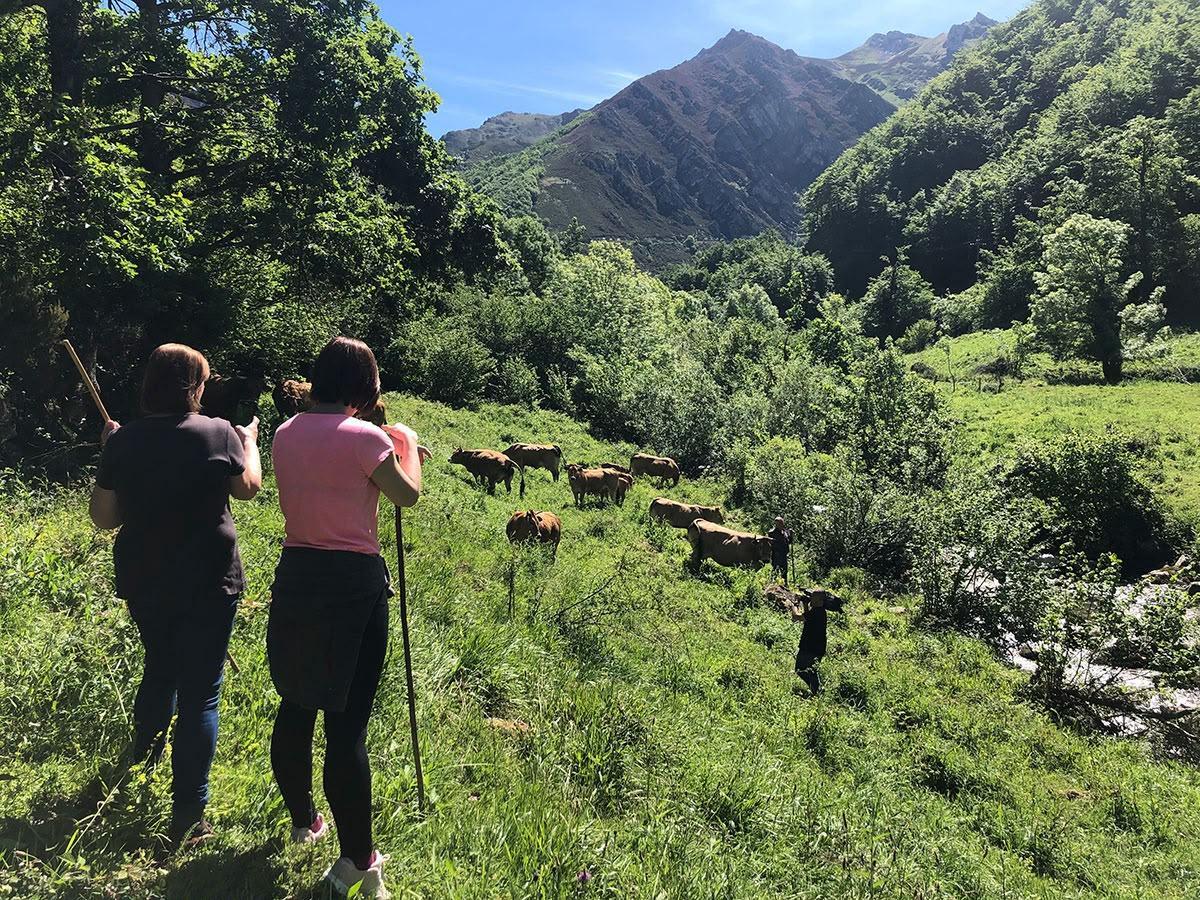 Mujeres rurales, presente y futuro de Ternera Asturiana