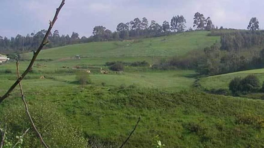 Zona de Verdicio en la que está prevista la construcción de un campo de golf y una urbanización.