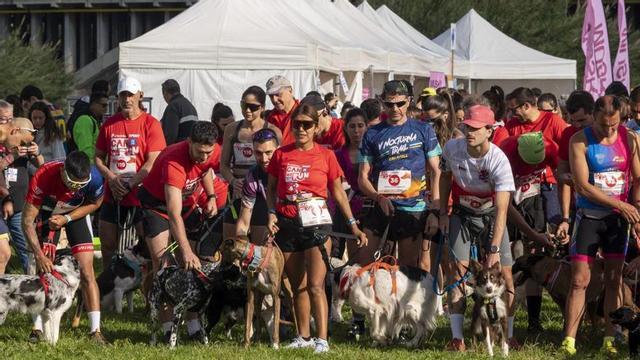 A l’esquerra, alguns dels participants a la Can We Run amb els seus gossos, ahir al Parc Fluvial del Besòs de Santa Coloma de Gramenet. A dalt, un dels gossos realitza la prova d’agilitat; a baix, una de les mascotes s’hidrata després de participar en una de les proves;  i a la dreta, l’entrega de la recaptació final. | JORDI COTRINA