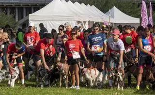 La quarta edició de la Can We Run reuneix mil corredors i els seus gossos