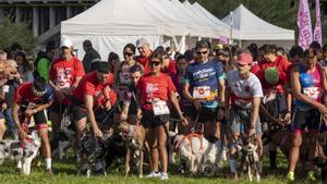 La quarta edició de la Can We Run reuneix mil corredors i els seus gossos