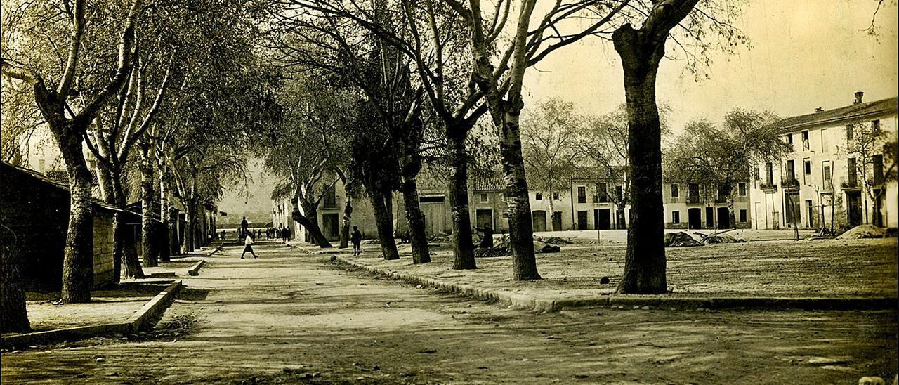 La actual plaza del Prado, con el «ciprés de Rausell» cuyo tronco todavía se conserva en ese lugar, en una de las imágenes de la exposición. | ARCHIVO BORJA-MONRABAL