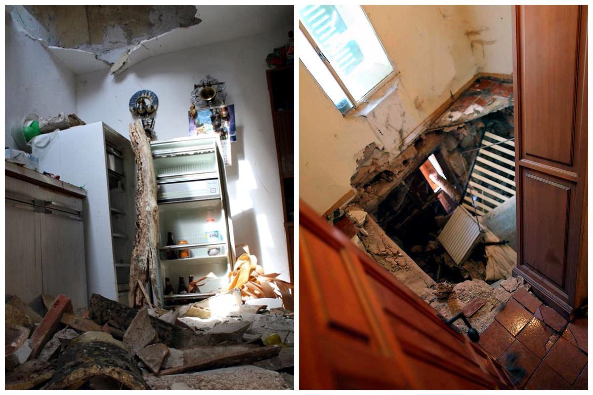 Efecto destructivo de la plaga de termitas