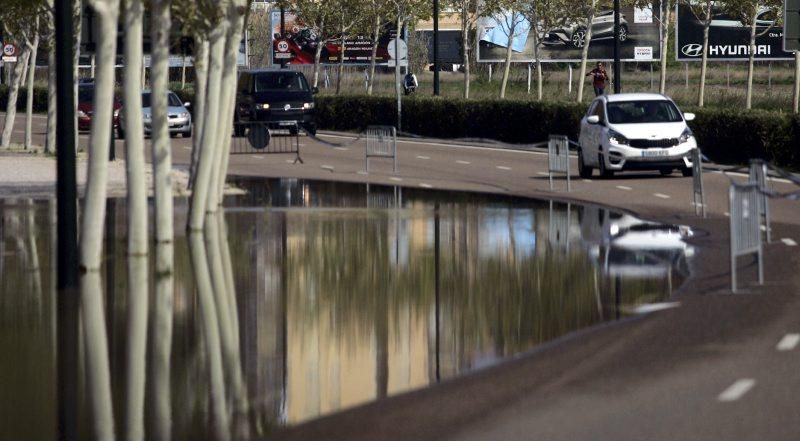 Crecida del Ebro en Zaragoza