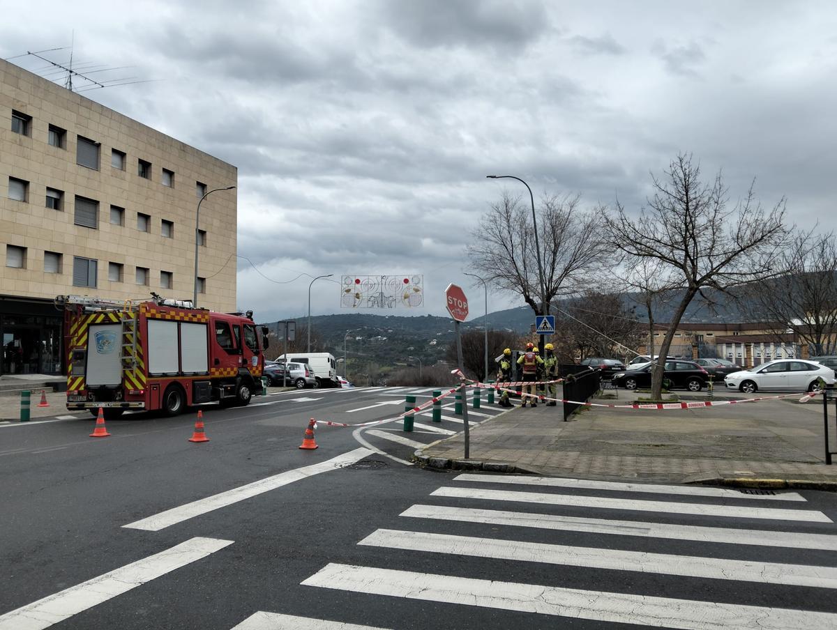 Retiran una farola en Plasencia ante el peligro de caída por el viento.
