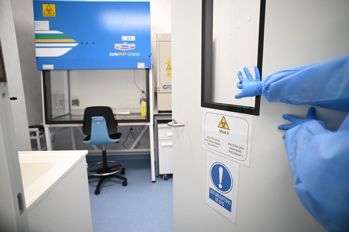 Sala dedicada a trabajar con bacterias en busca de nuevas vacunas para humanos y animales
