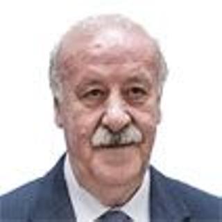 Vicente del Bosque