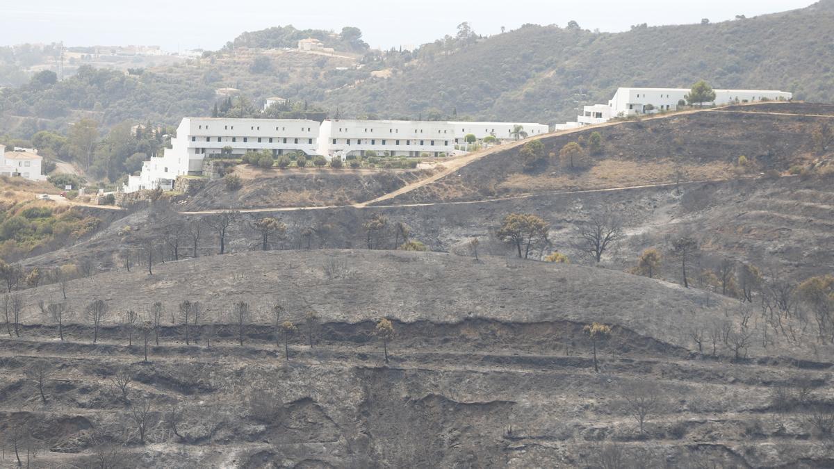 Un incendio en Sierra Bermeja provoca el desalojo de un millar personas en Estepona, Jubrique y Genalguacil