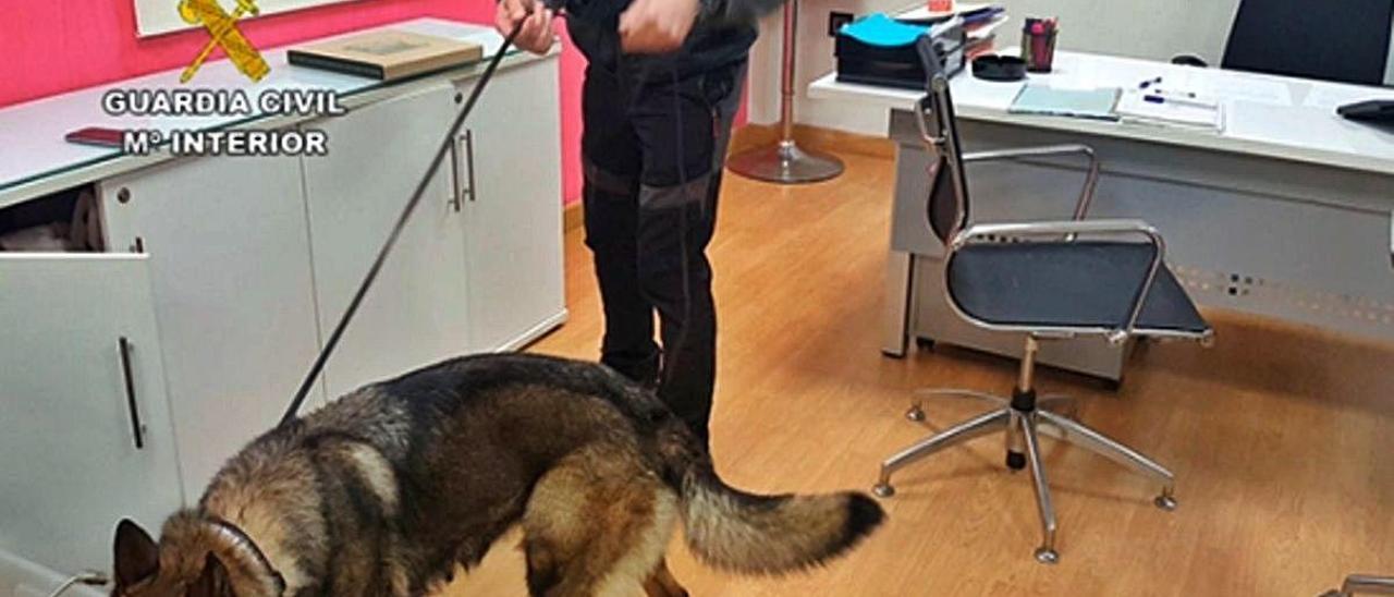 La Guardia Civil registra con perros las oficinas de una de las mercantiles del entramado.