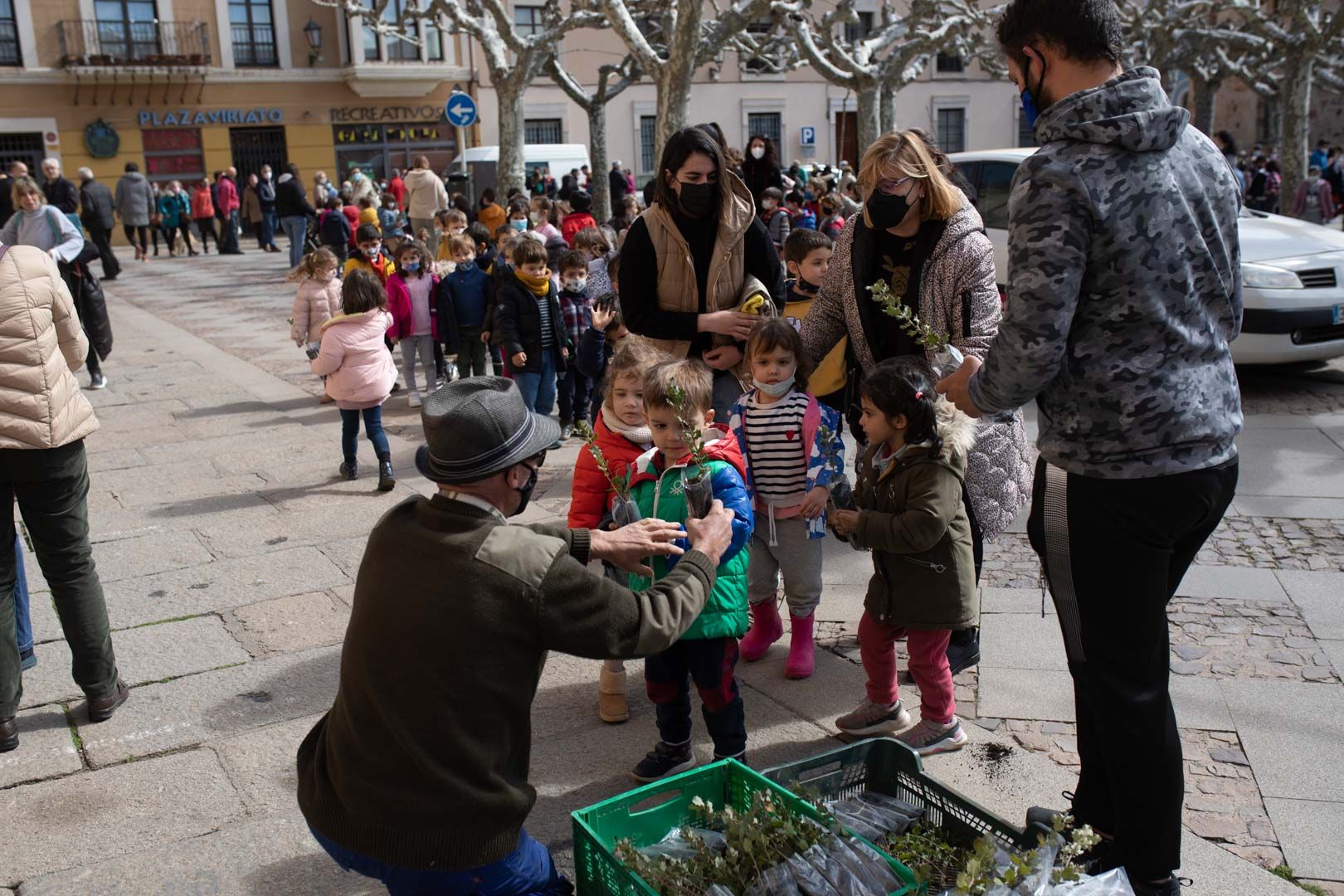 GALERÍA | La Diputación de Zamora celebra el Día del Árbol