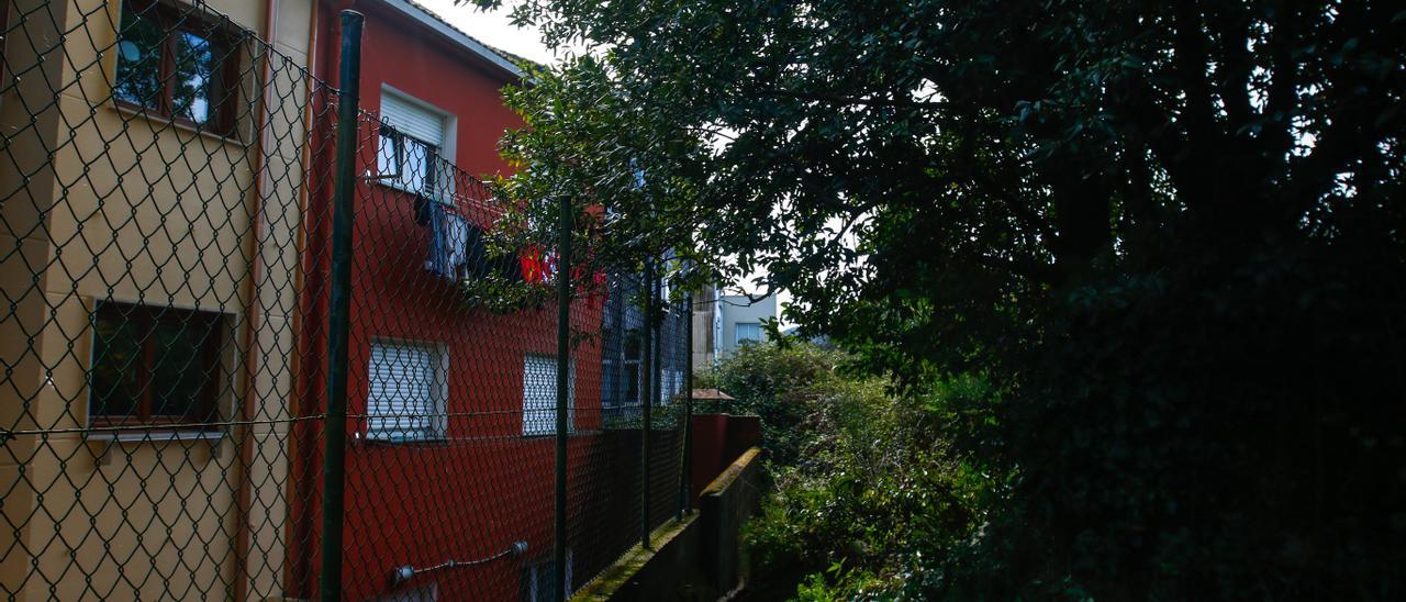 Una de las zonas donde las ramas casi rozan los edificios.