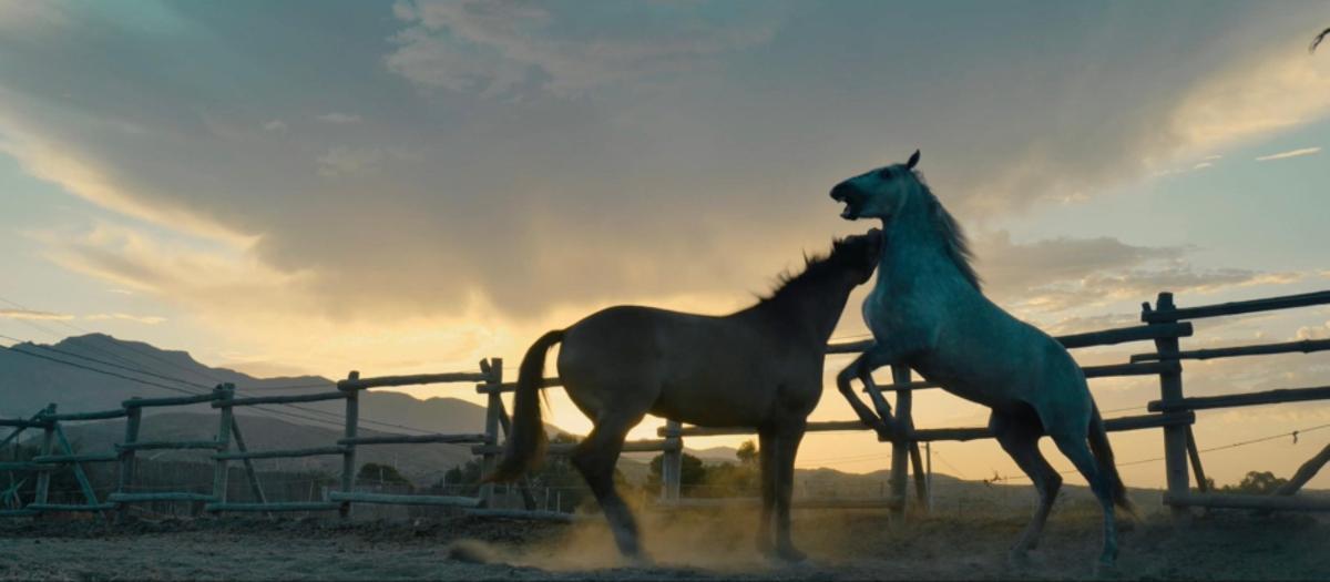 Una imagen del documental