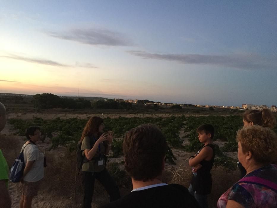 Ruta nocturna por el Parque Natural de Torrevieja