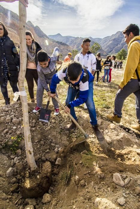 Proyecto para convertir la cantera de Cox en zona verde