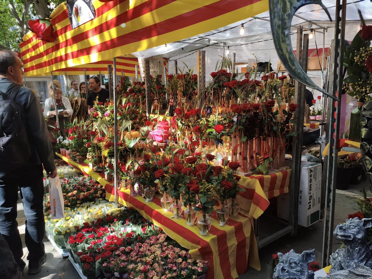 Les roses de la parada de Viver Serra aquest 2026