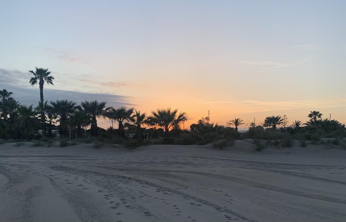 Playa del Pinar
