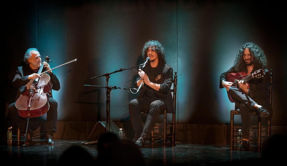 Imagen del espectáculo Las Minas Flamenco Tour
