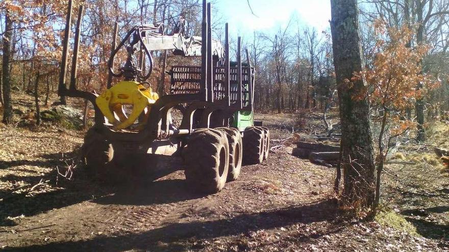 Maquinaria utilizada para la extracción de la madera cortada en el Parque Natural del Lago.