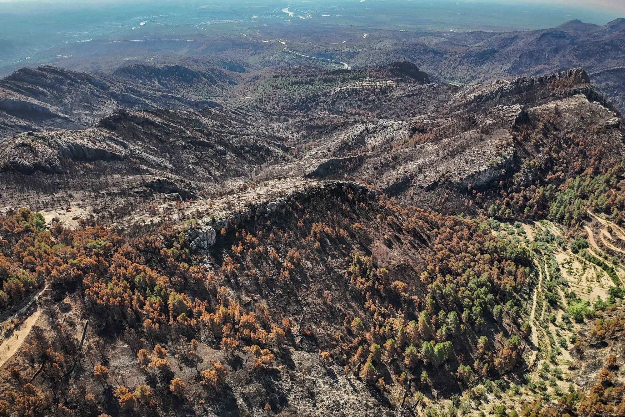 Les fotos de l'incendi de Paüls a vista de dron