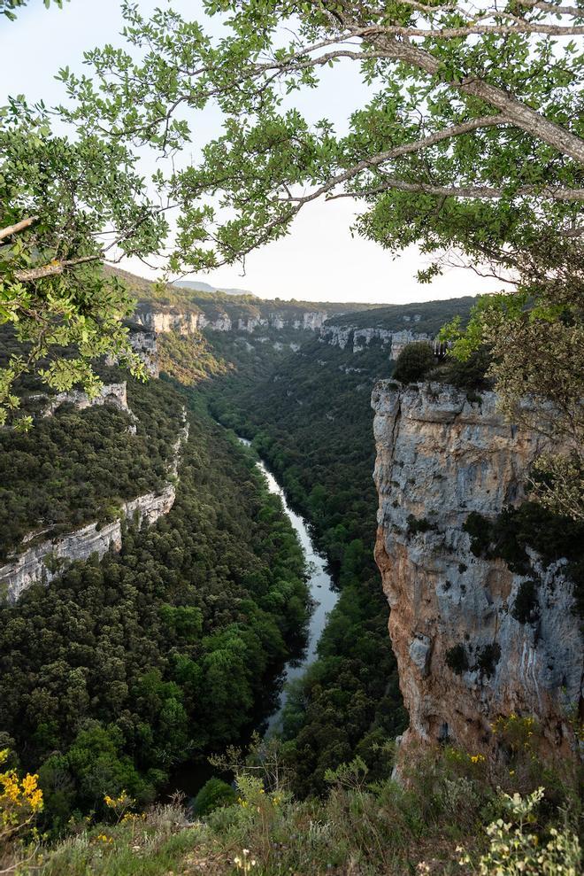 Burgos, Hoces del Duratón