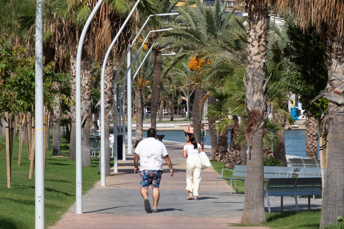 Las fotos del nuevo jardín interior del Paseo Marítimo de Palma
