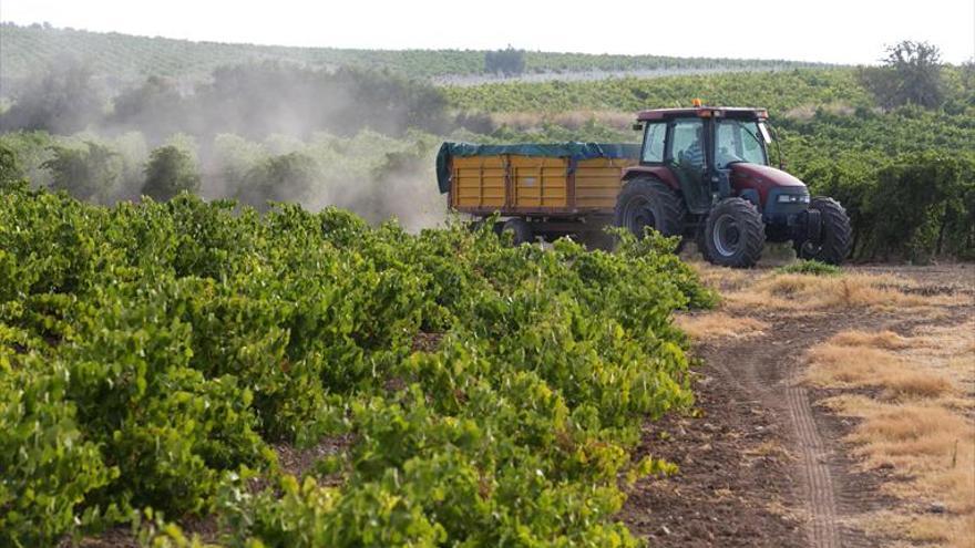 Asaja pide ampliar las ayudas a los jóvenes agricultores