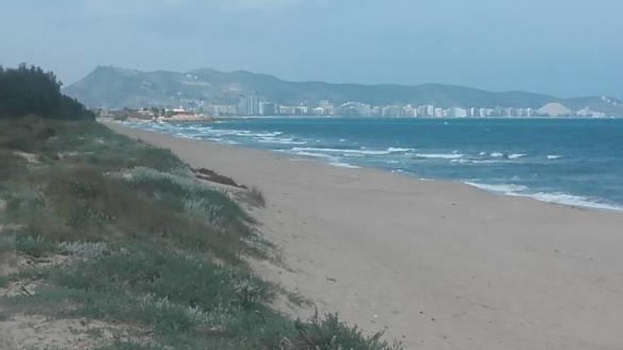 Cullera abre la primera playa para perros de    la comarca