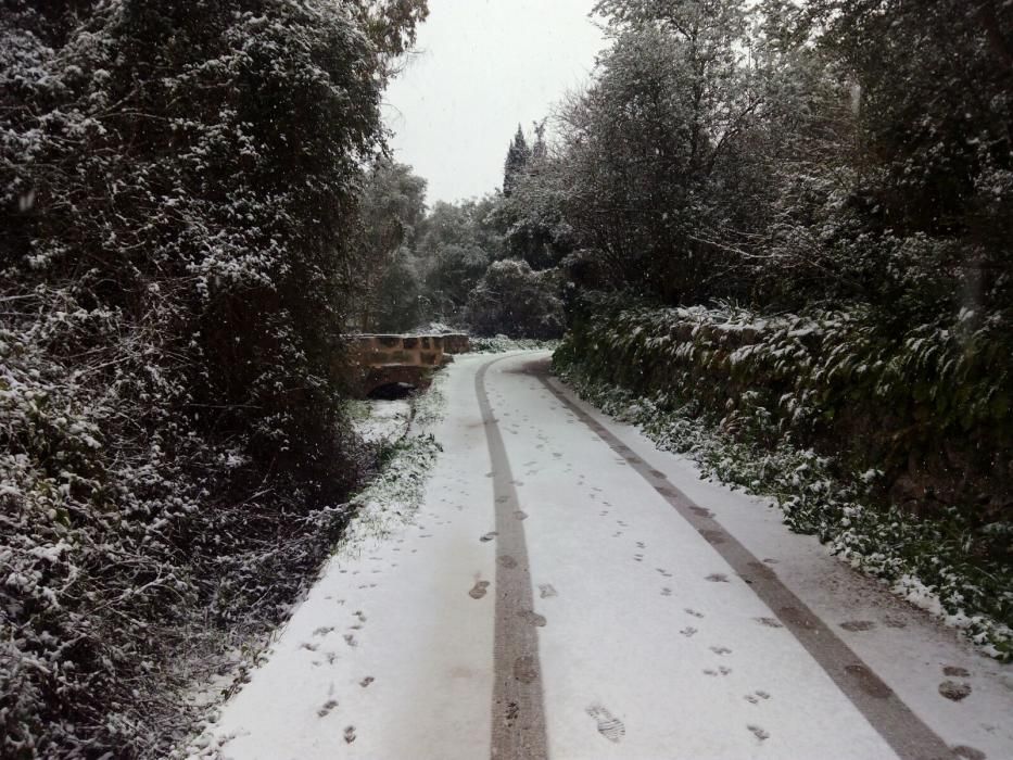 La Serra se viste de blanco