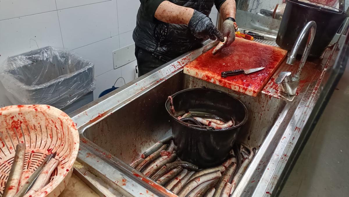 FOTOS | La pescadería de sa Pobla, Ca na Foc, sirve 1.700 kilos de anguilas