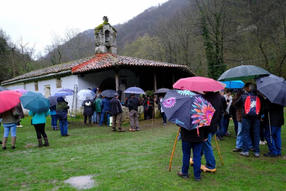 Romería de La Flor en Lena