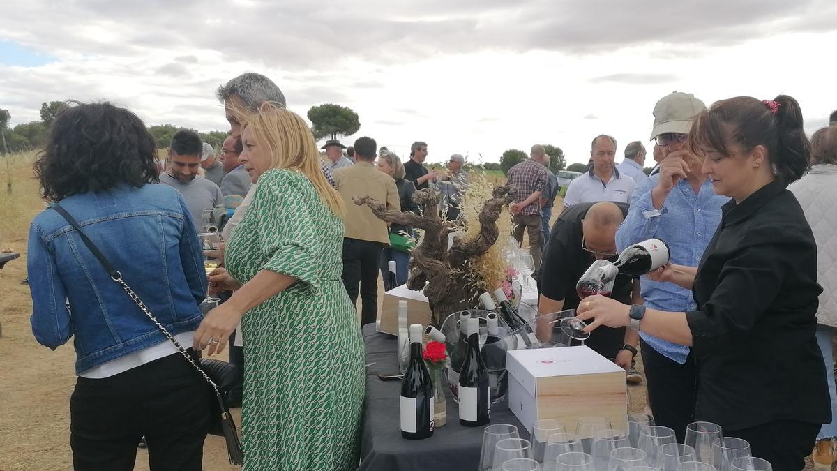 Invitados degustan el nuevo vino elaborado por Spanish Palate