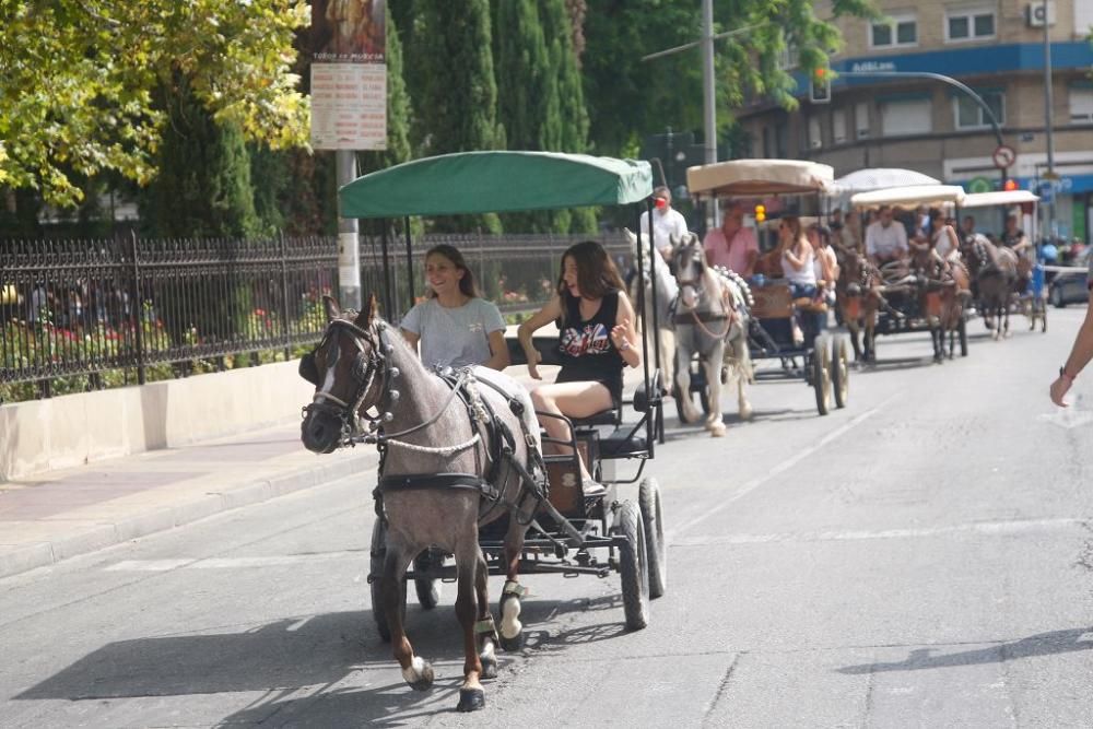 Día del caballo en la Feria de Murcia 2018