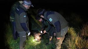 undefined29280924 aiguamolls   batida nocturna de cazadores y agentes rurales 190716154203