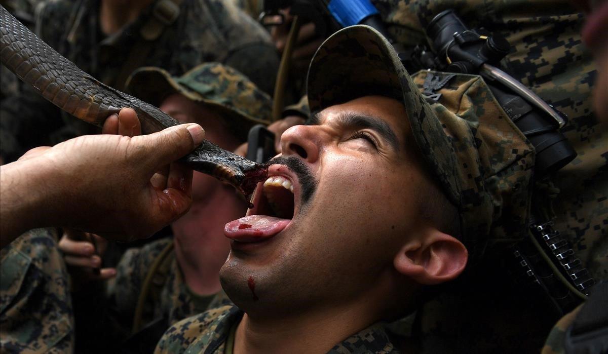 Un soldado de la Marina de los Estados Unidos bebe sangre de serpiente durante un entrenamiento de supervivencia en la jungla con soldados tailandeses en el ejercicio militar conjunto Cobra Gold en la provincia de Chantaburi. Estados Unidos y Tailandia celebran el 14 de febrero el ejercicio anual conjunto Cobra Gold, el mayor ejercicio militar liderado por los Estados Unidos en Asia que supusieron ejercicios agotadores de guerra en la jungla tailandesa, asistencia humanitaria y ejercicios de socorro.