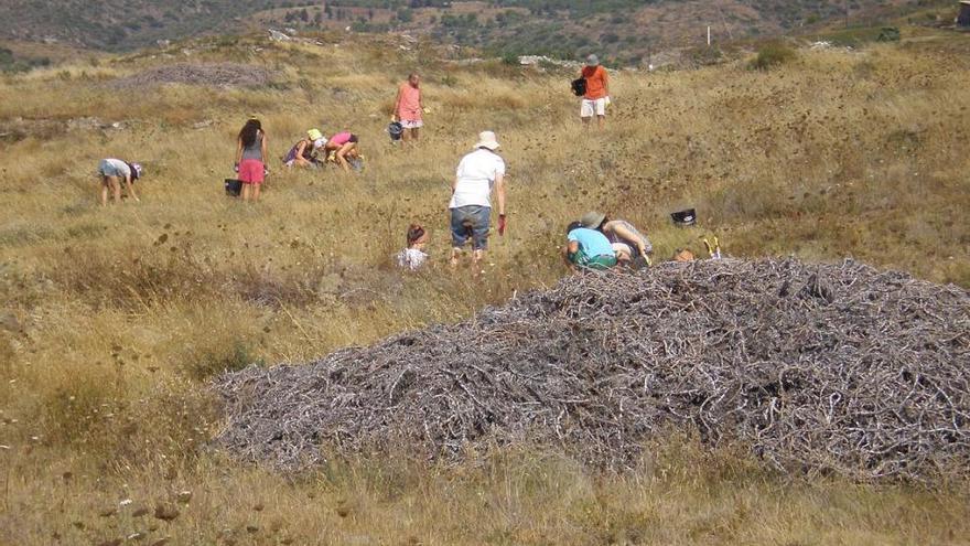 Tornen els treballs a l&#039;illa de Portlligat