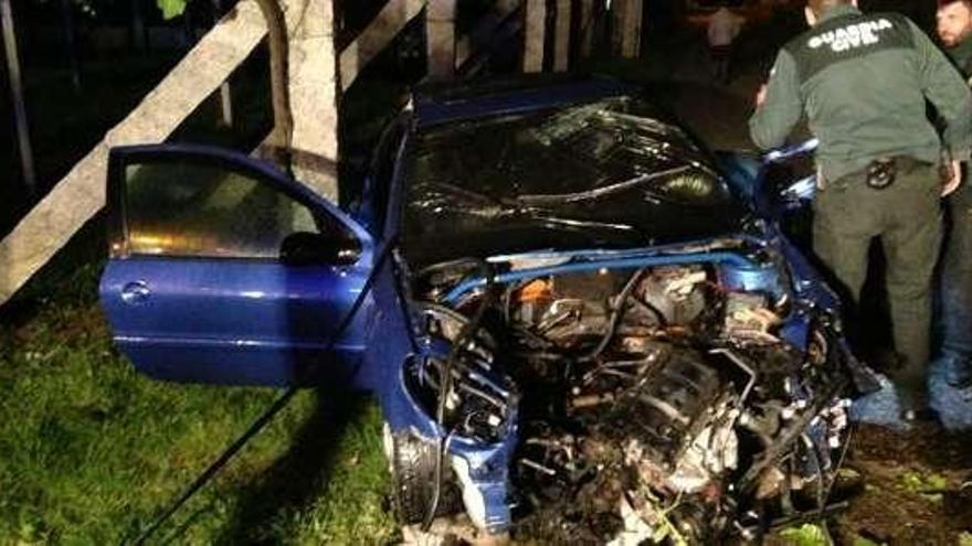 El coche, destrozado tras chocar contra el viñedo.  // FdV