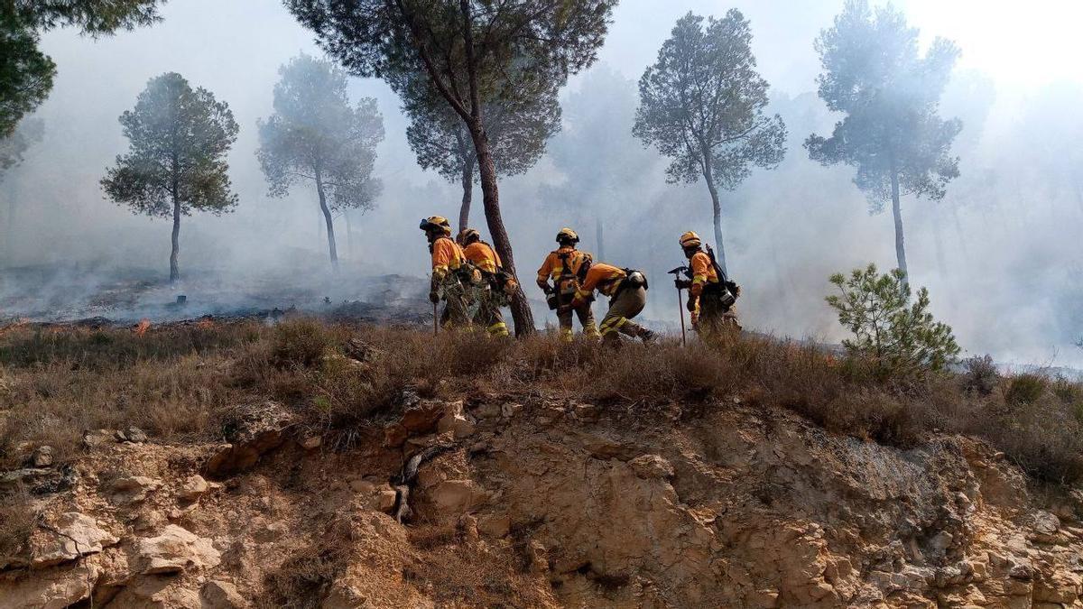 Bomberos en un incendio en la Cresta del Gallo de Murcia, en mayo de 2024.