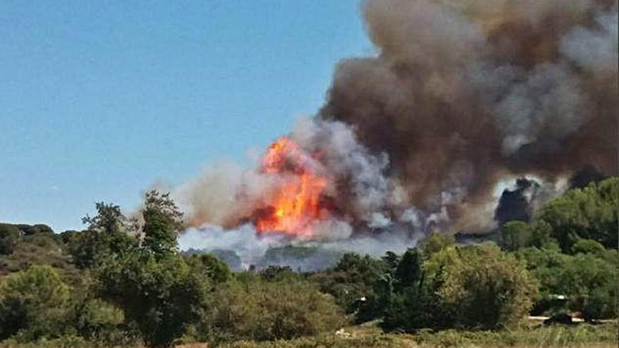 El foc crema entre les localitats de Narbona i Montpeller.