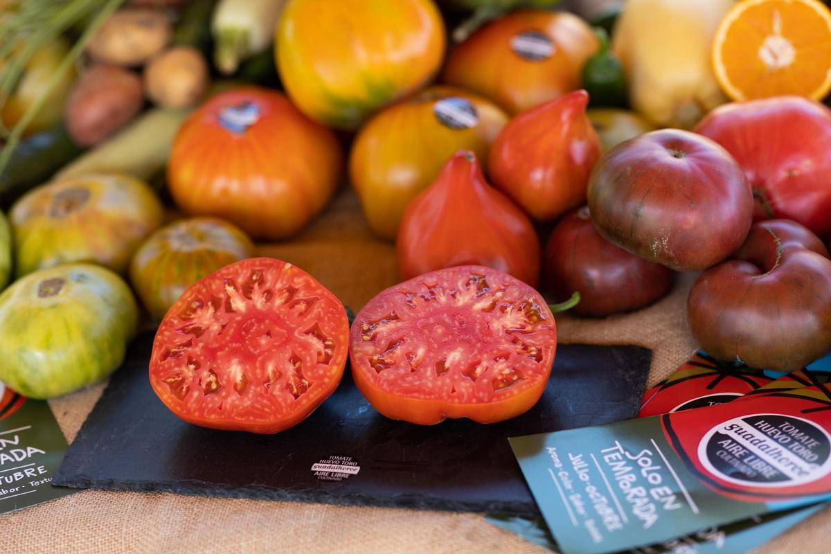 El mejor tomate huevo de toro alcanza un precio récord de 20.000 euros en Coín (Málaga)