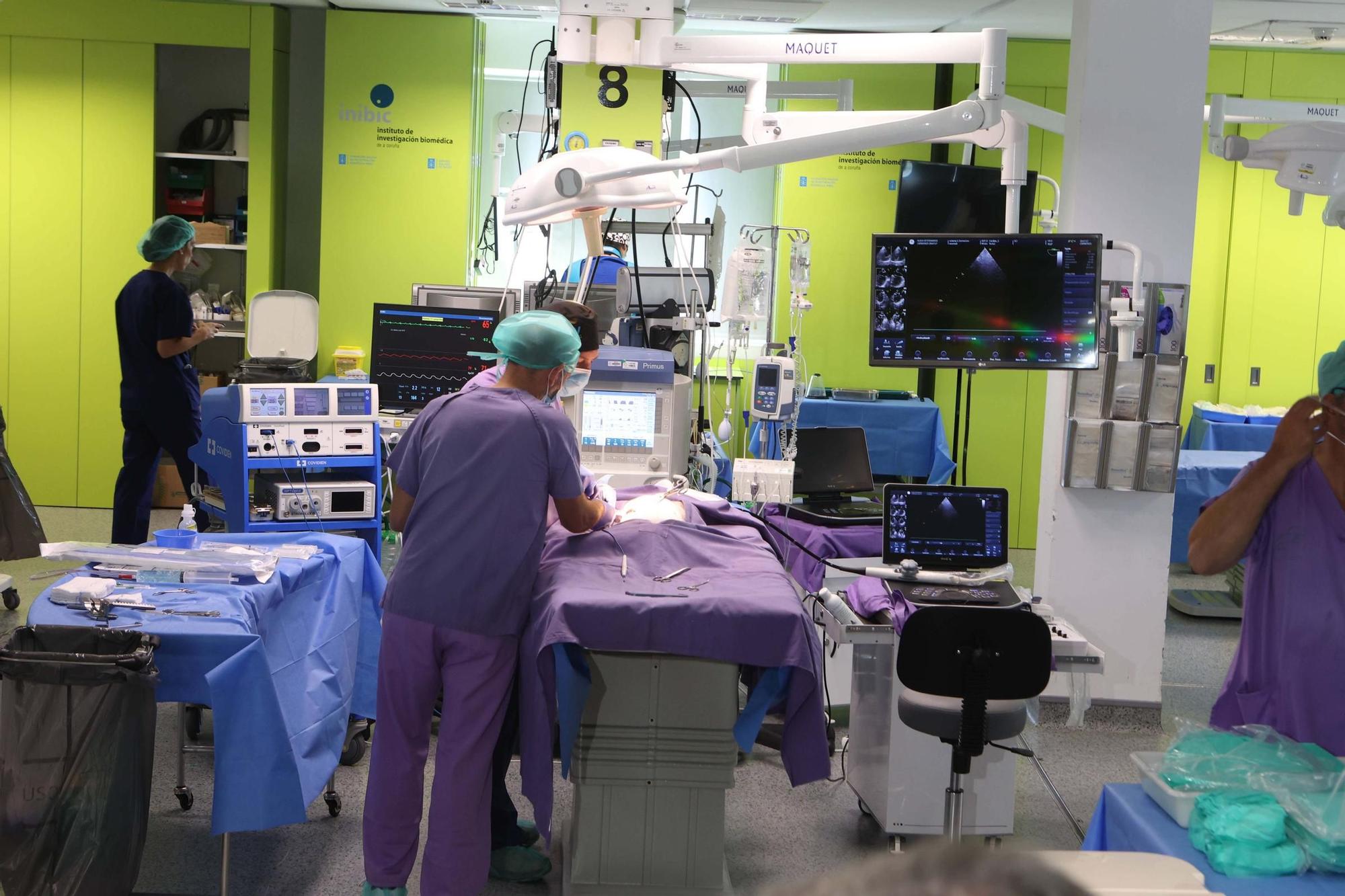 El conselleiro de Sanidade visita el Instituto de Investigación Biomédica de A Coruña