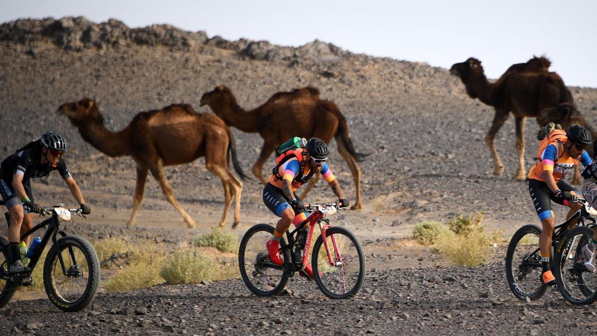 Los competidores andan en bicicleta entre camellos durante la segunda etapa de la 14ª edición de la carrera de ciclismo de montaña Titan Desert 2019, entre las ciudades de Merzouga y Ouzina, en Marruecos , el 29 de abril de 2019
