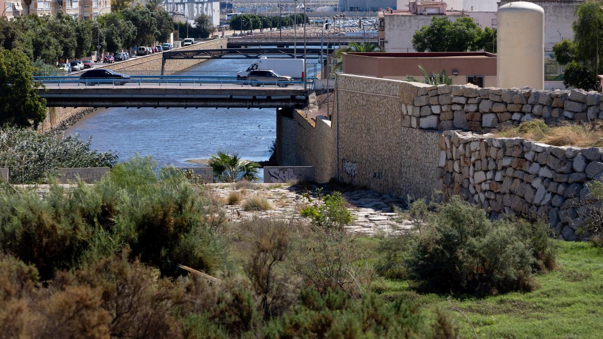 Vista general del último tramo hasta donde entrar el agua del mar, lleno de vegetación