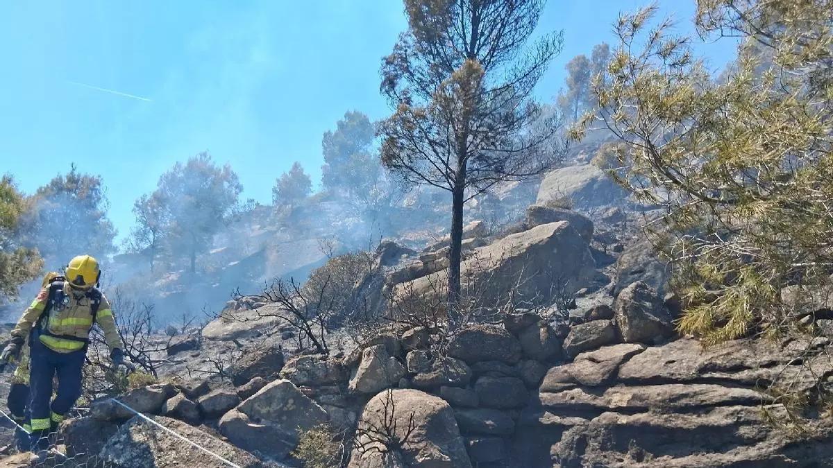 Interrumpida la circulación de Rodalies entre Manresa y Cervera por un incendio cerca de las vías
