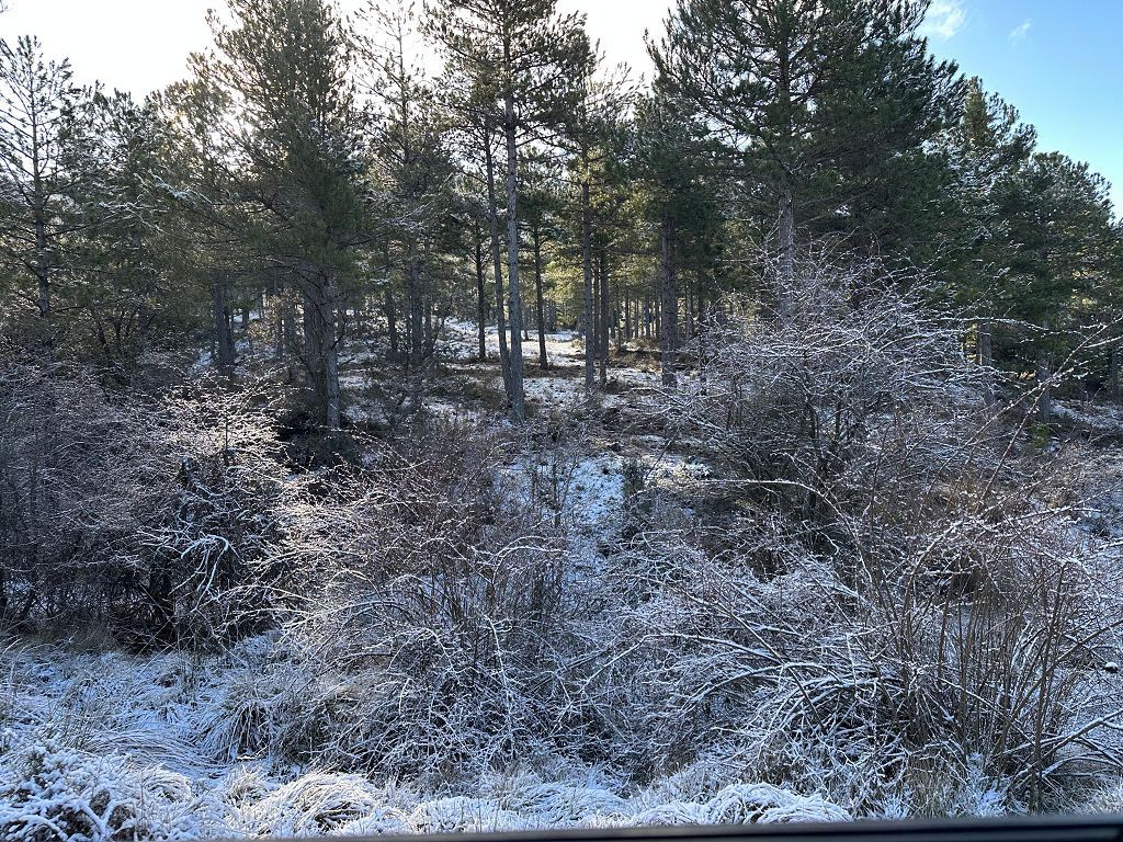 La nieve cumbra el techo de la Región en Cañada de la Cruz, Moratalla