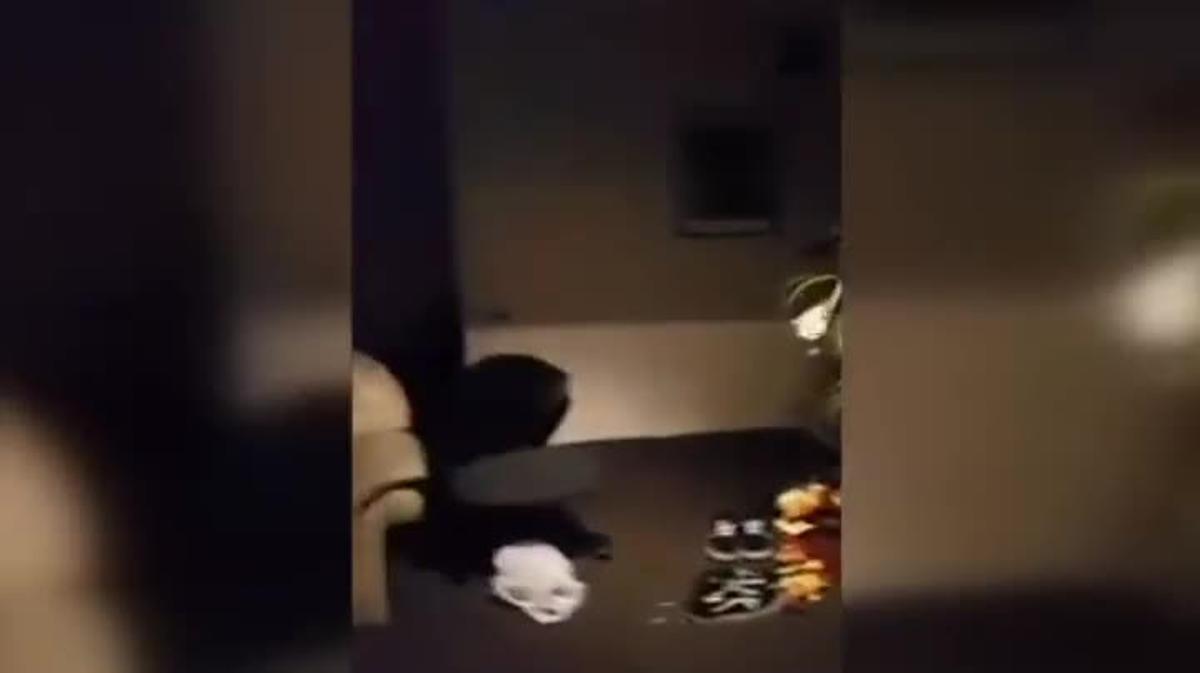 També s’ha registrat un petit tsunami amb onades que han arribat als dos metres d’altura. Tot el país manté l’alerta. El 2011 un altre terratrèmol a la mateixa zona va causar la mort de 185 persones.