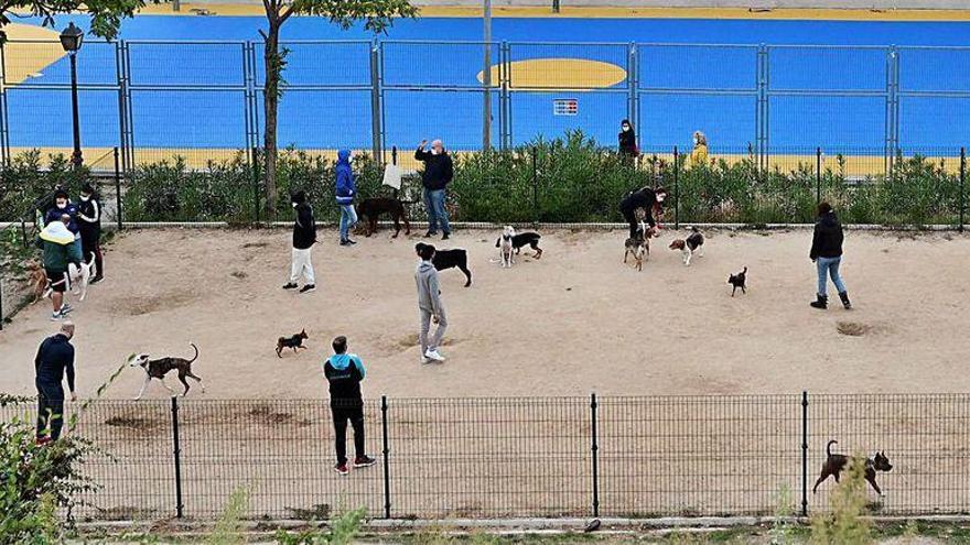 Arriba, controles a la salida de Madrid, y debajo, vecinos de Vallecas paseando a sus perros.