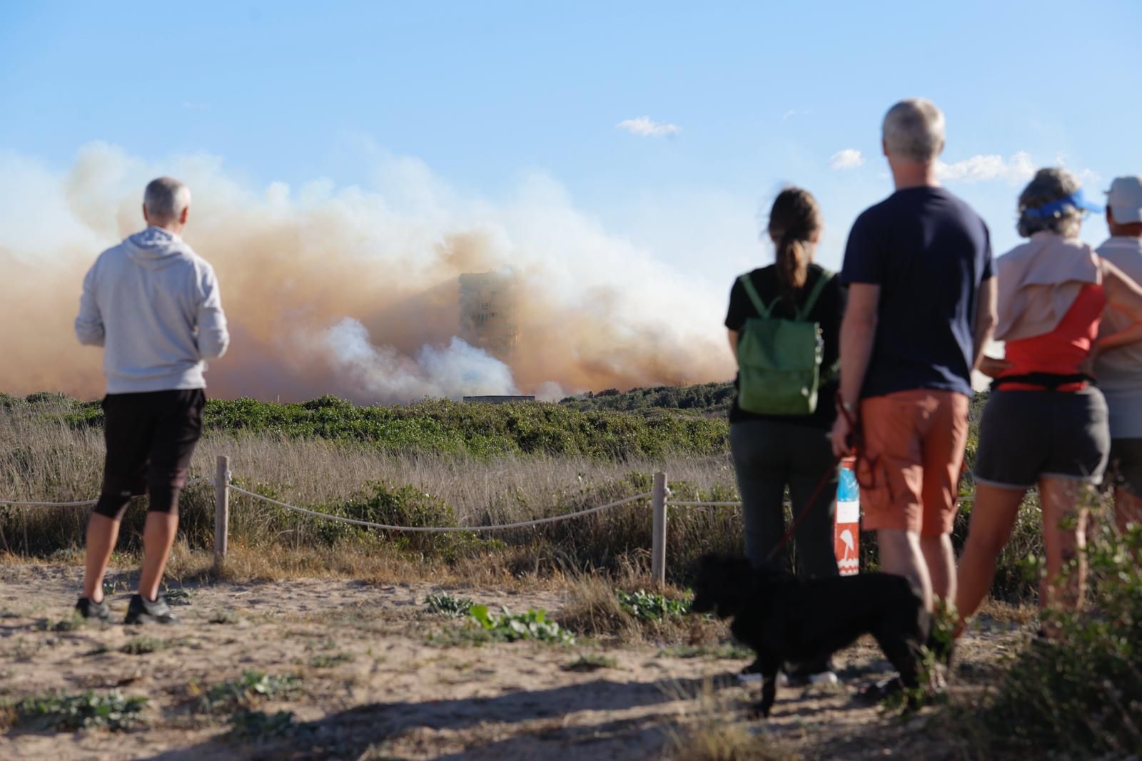 Declarado un incendio en el Saler