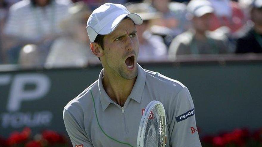 Djokovic, eufórico tras uno de sus puntos.