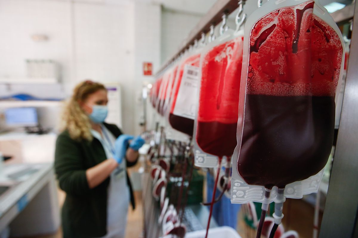 Córdoba llama a la donación de sangre para reponer las reservas
